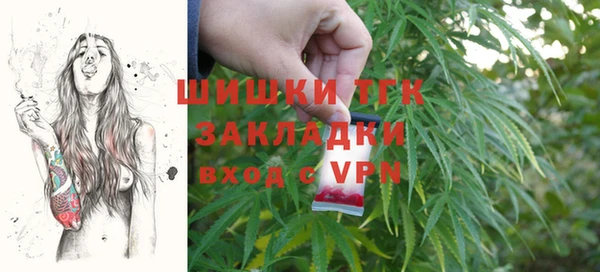 дживик Арсеньев