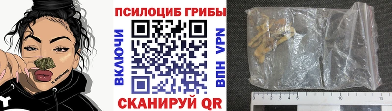 что такое наркотик  Углегорск  Псилоцибиновые грибы Psilocybe 